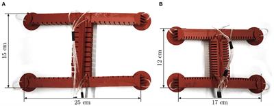 Toward a Gecko-Inspired, Climbing Soft Robot